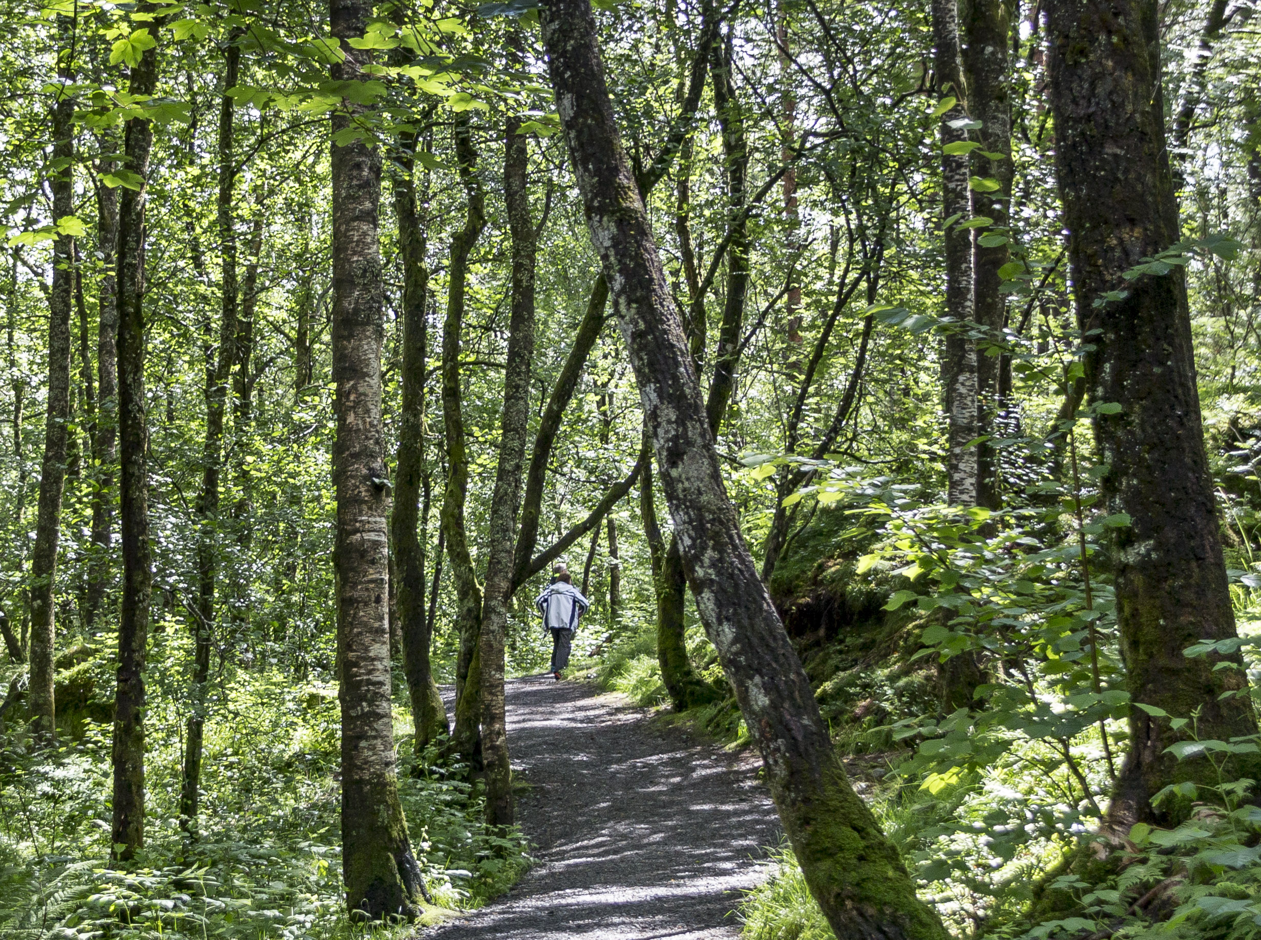 Fana%20Lagunen%20Nord%C3%A5s-06