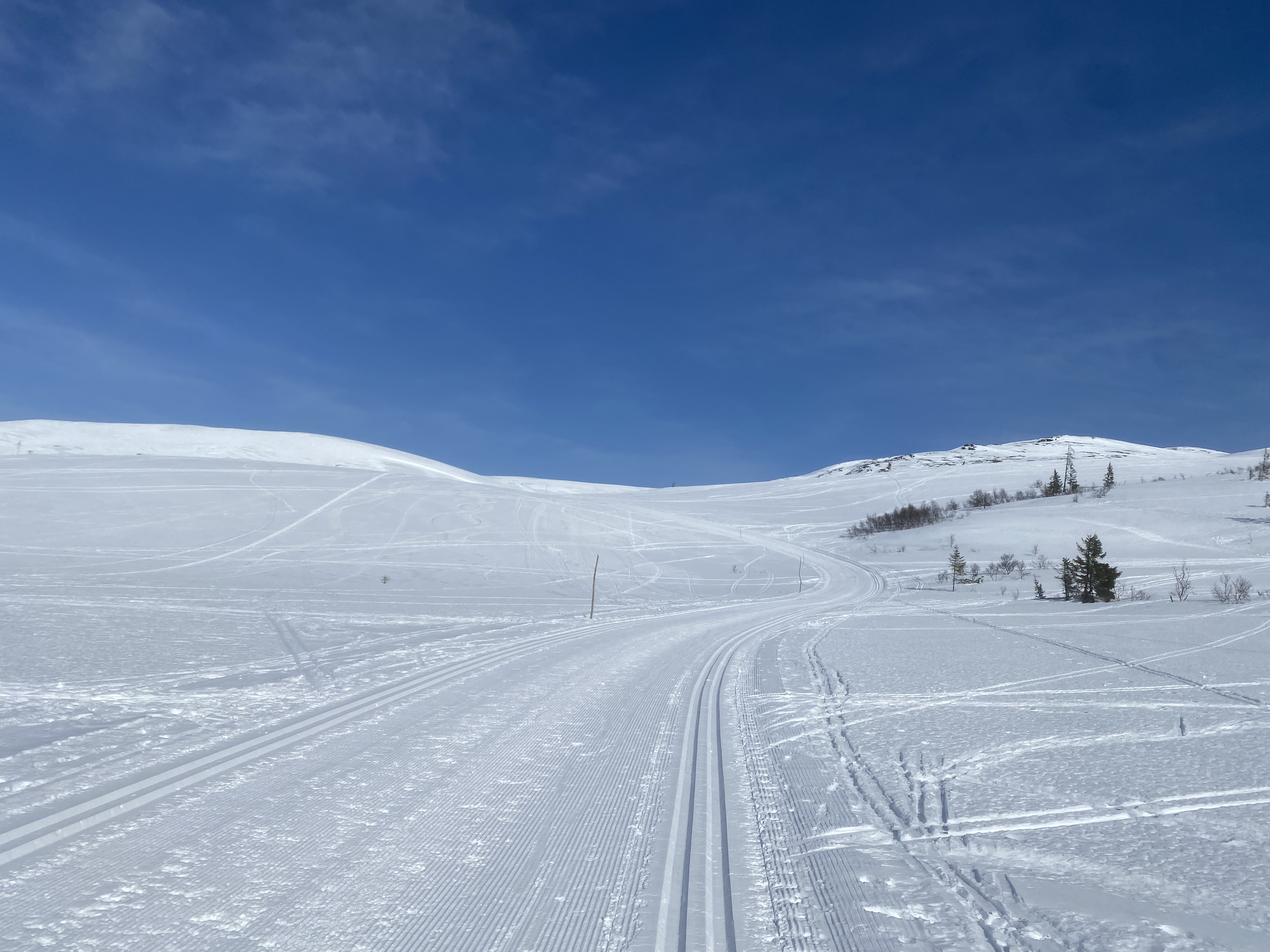 714794227215385