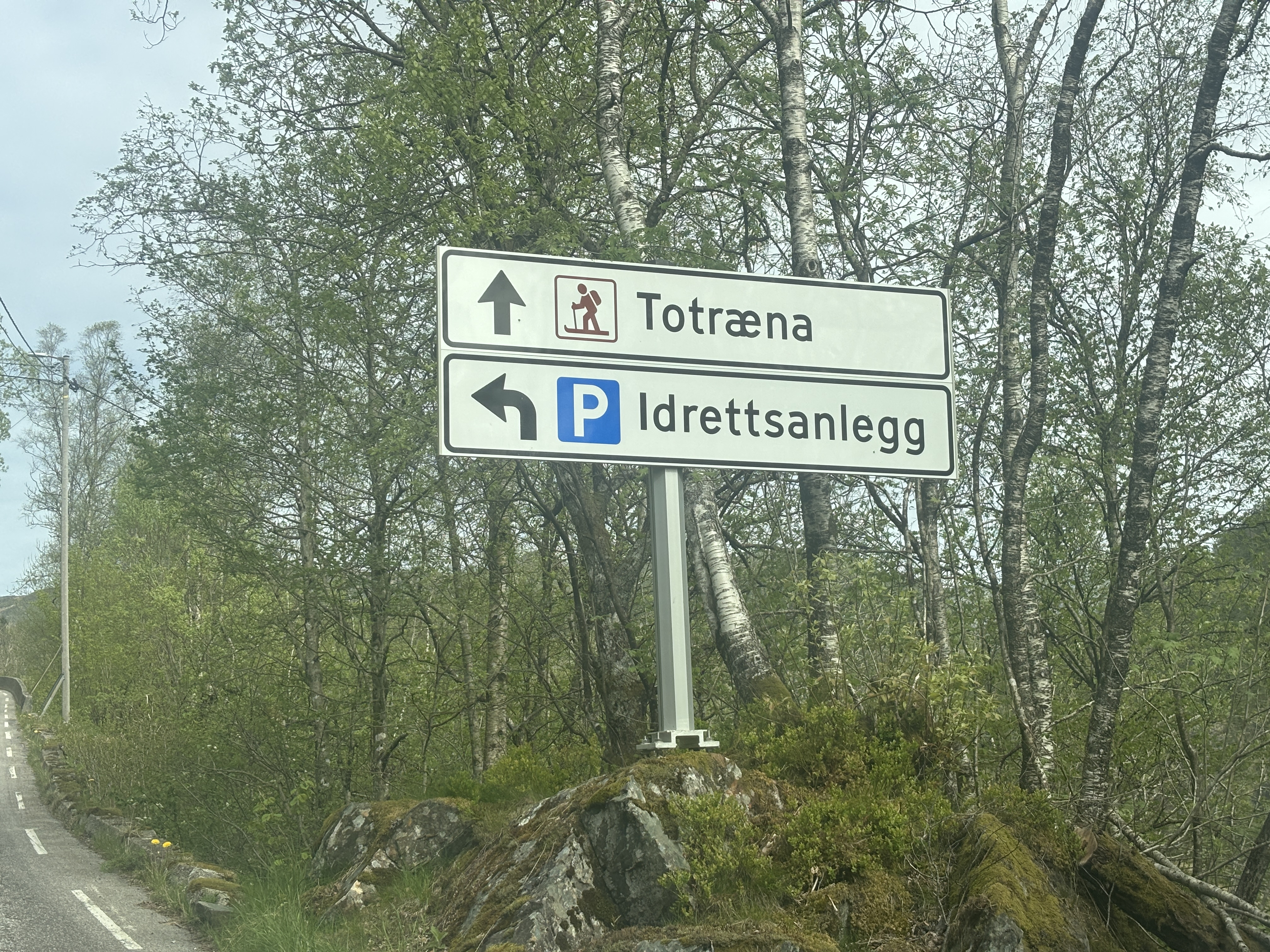 615838180707499