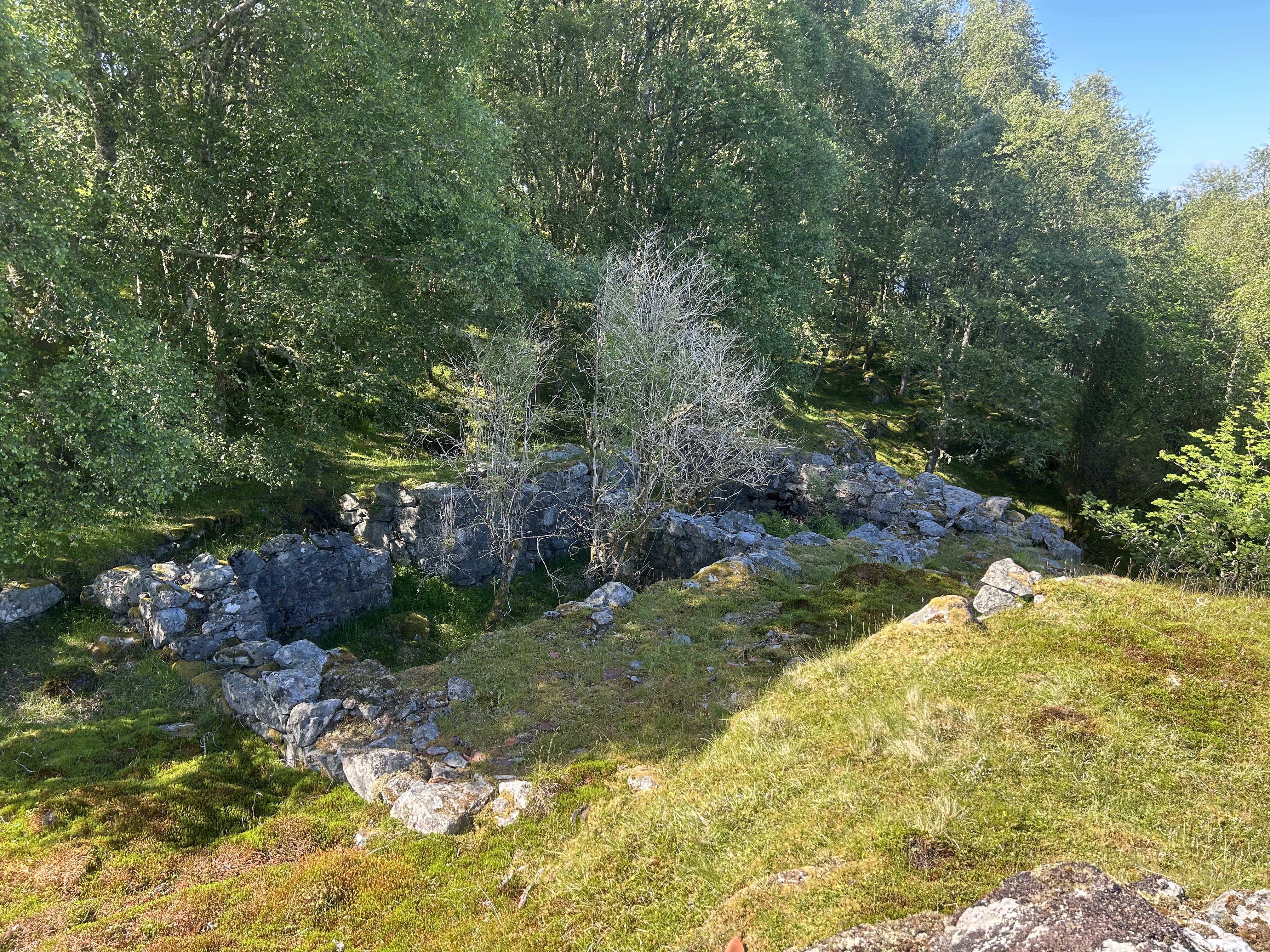 615838180709857