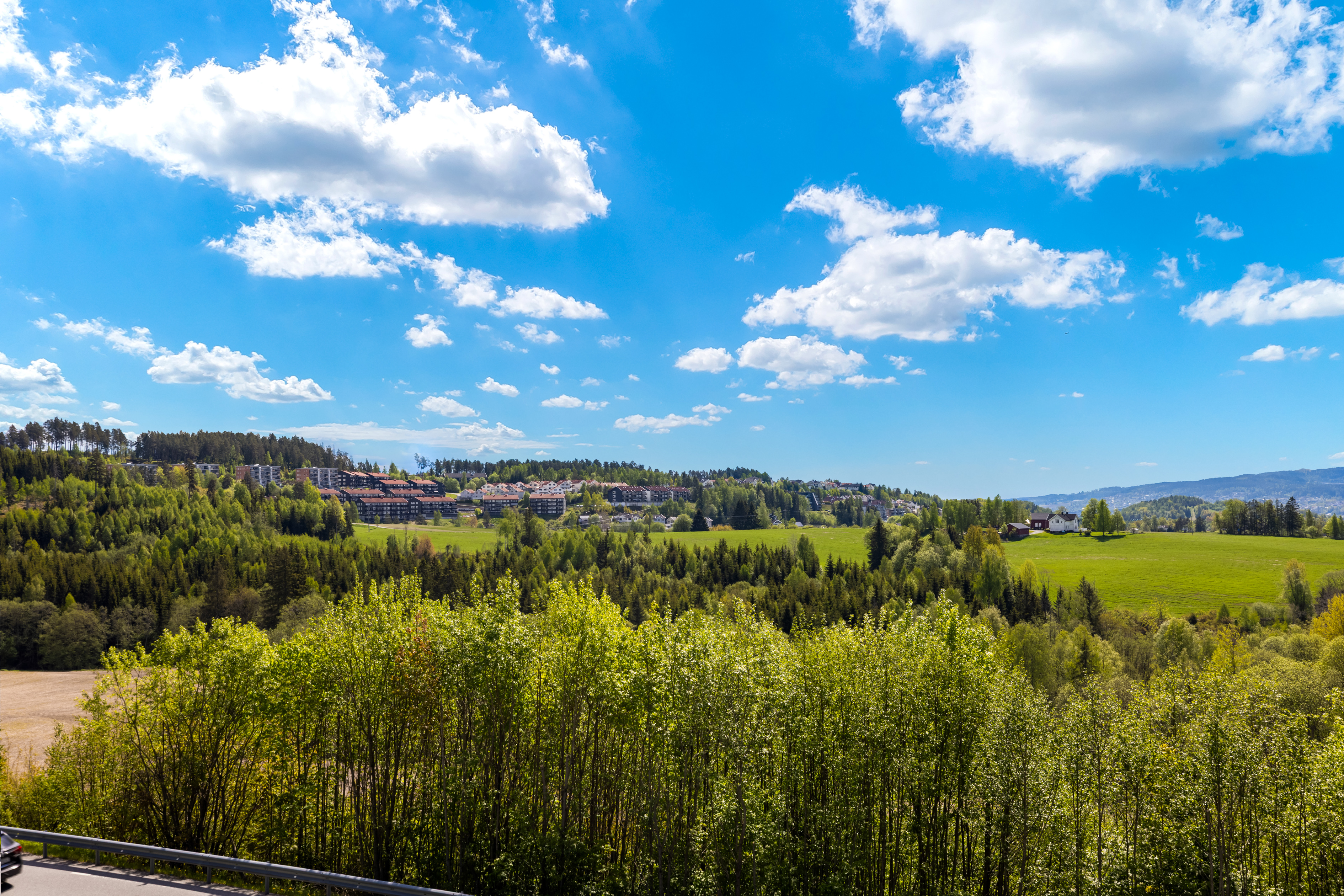 830242948129505